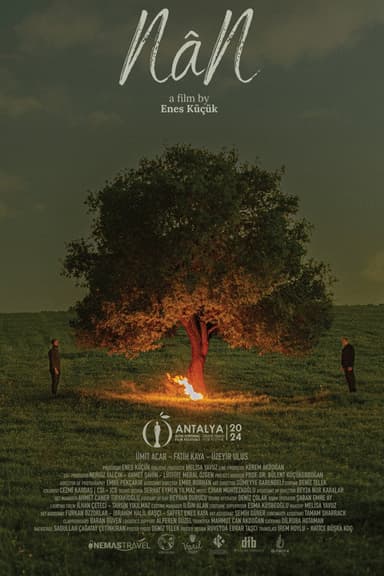 NâN poster