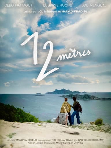 12 Meters poster