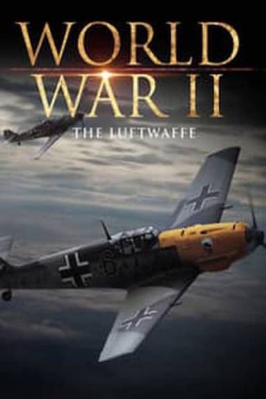 World War II: The Luftwaffe poster