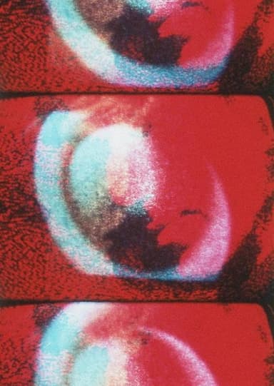 Video Self-Portrait poster