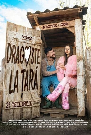 Dragoste la țară poster