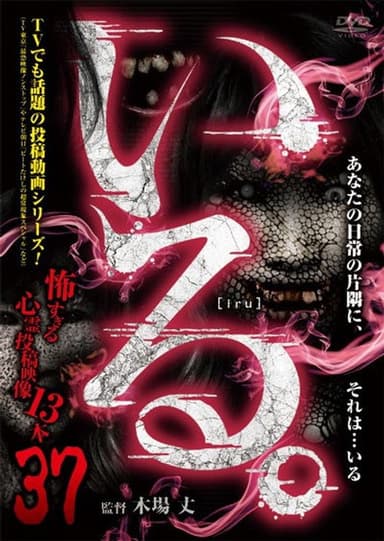 「Iru.」~ Kowasugiru Tōkō Eizō 13-hon ~ Vol.37 poster