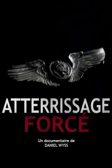 Atterrissage forcé poster