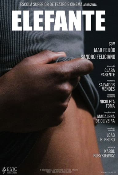 Elefante poster