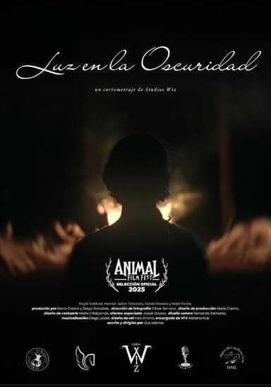 Luz en la oscuridad poster