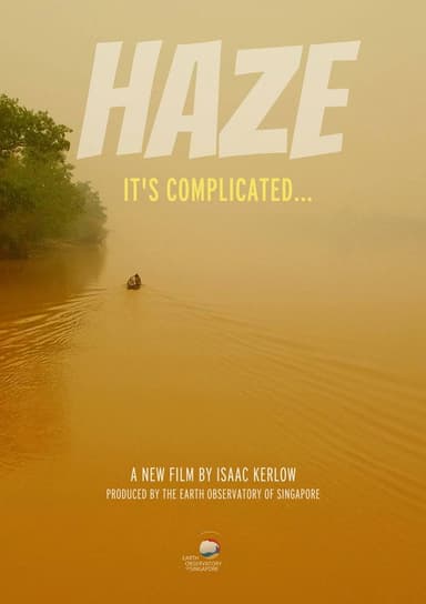HAZE: It's Complicated poster