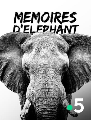 Mémoires d'éléphant poster