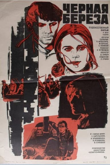 Black Birch poster
