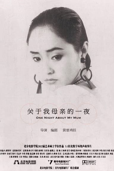 One Night About My Mum poster