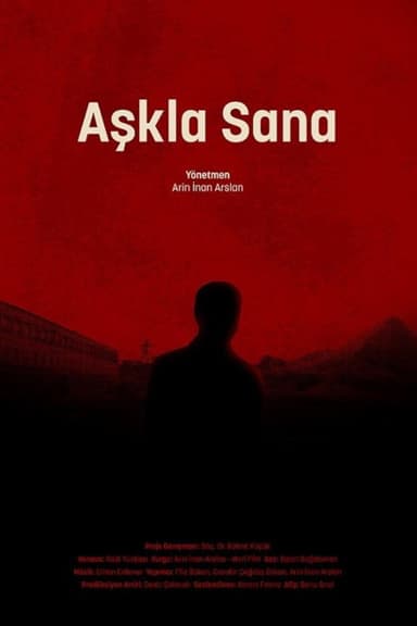 Aşkla Sana poster