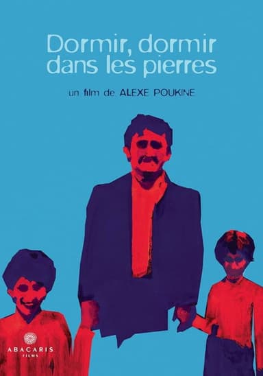 Dormir, dormir dans les pierres poster