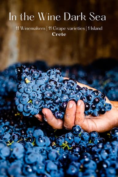 In the Wine Dark Sea poster