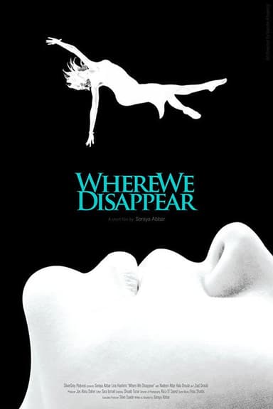 Where We Disappear poster