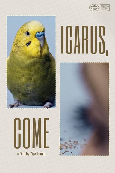 Icarus, Come poster