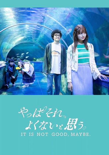It Is Not Good, Maybe. poster