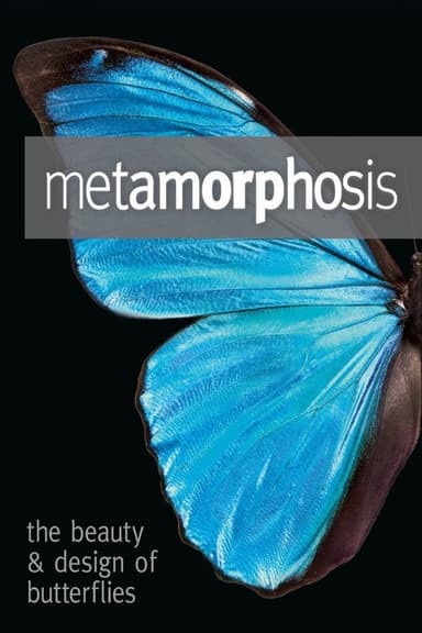 Metamorphosis: The Design and Beauty of Butterflies poster