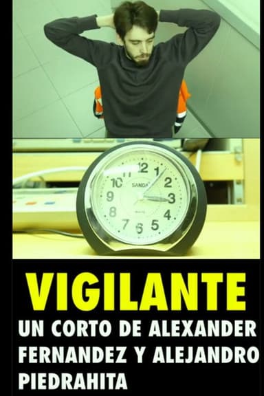 Vigilante poster