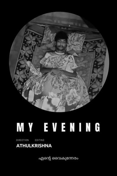 My Evening poster