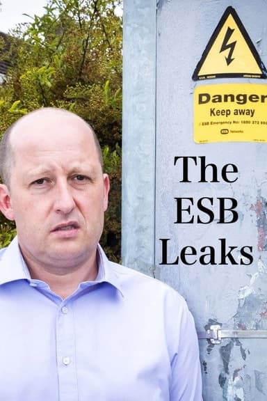 The ESB Leaks poster
