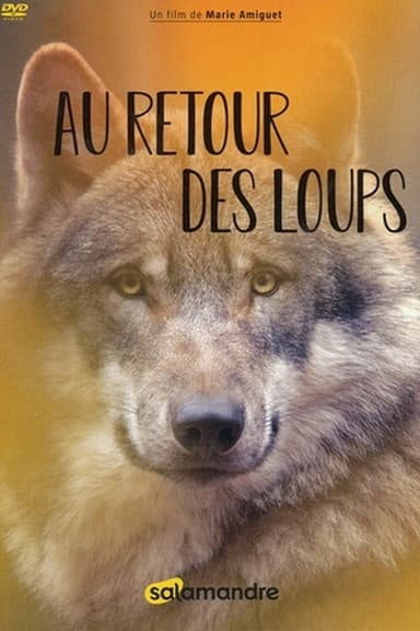 Au retour des loups poster