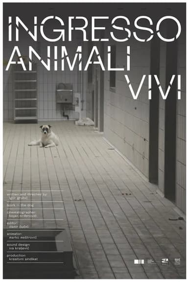Ingresso animali vivi poster