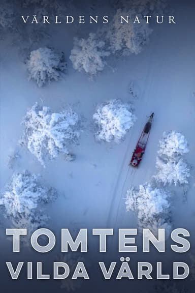 Tomtens vilda värld poster