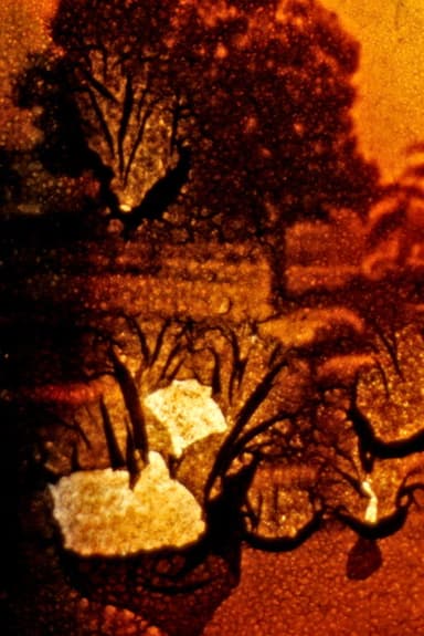 Stuttgart Filmwinter poster