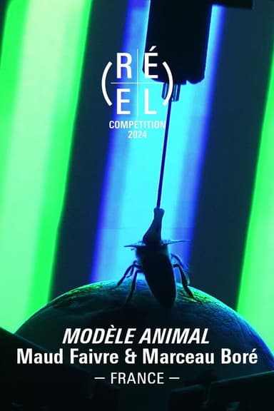 Animal Model poster