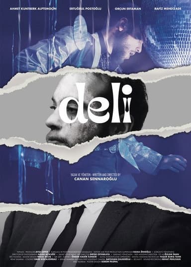Insane poster