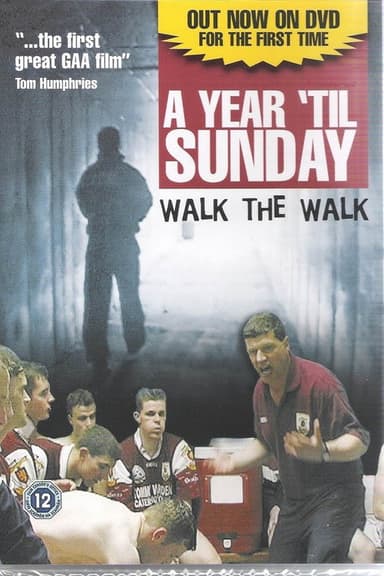 A Year 'til Sunday poster