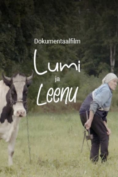 Lumi and Leenu poster
