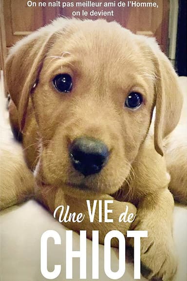 Une vie de chiot poster