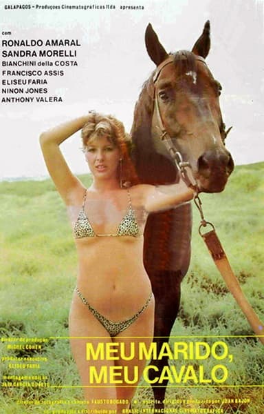 My Husband, My Horse poster