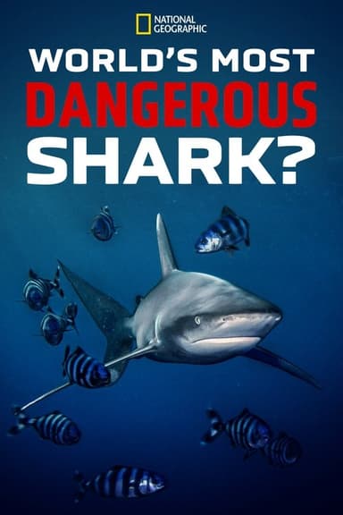 World's Most Dangerous Shark? poster