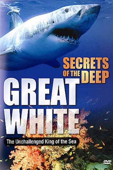 Secrets of the Deep: Great White poster