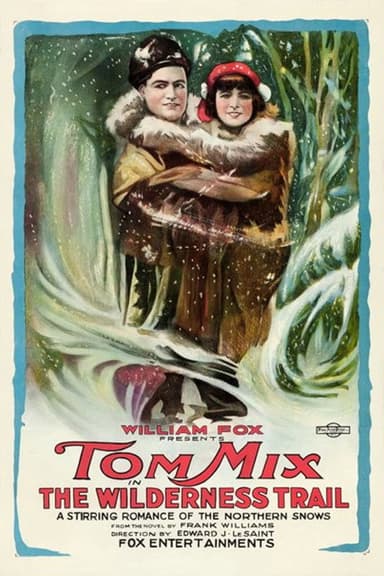The Wilderness Trail poster