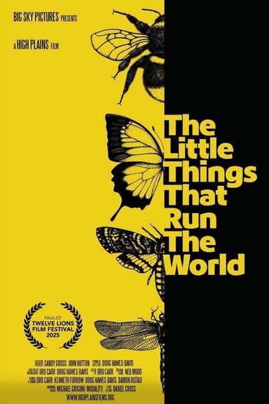 The Little Things that Run the World poster