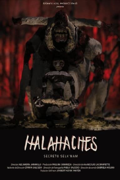 Halahaches poster