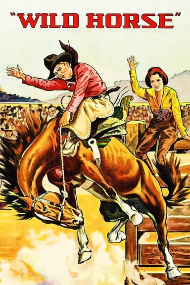Wild Horse poster