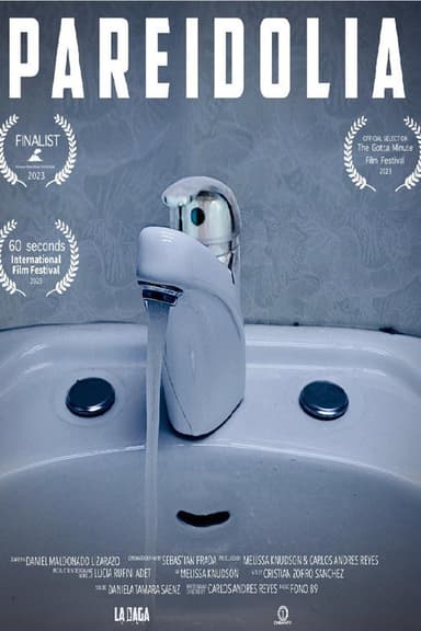 Pareidolia poster