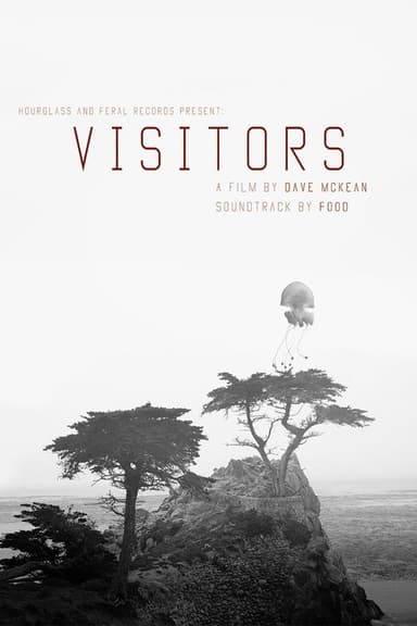 Visitors poster