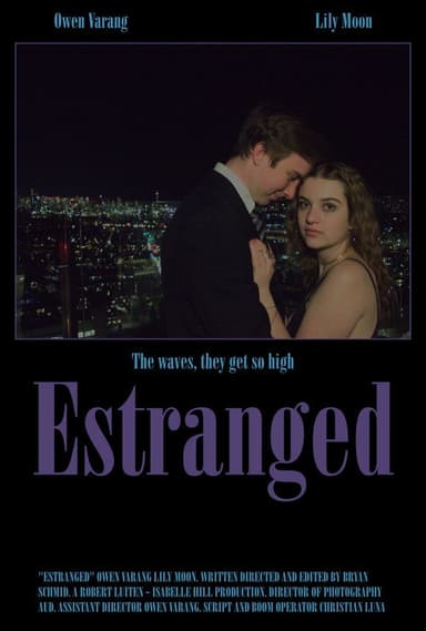 Estranged poster