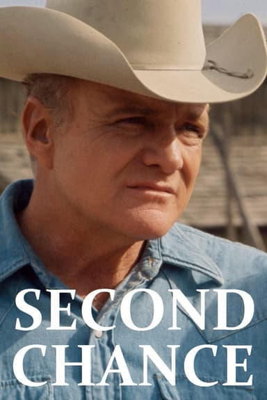 Second Chance poster