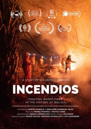 Fires poster