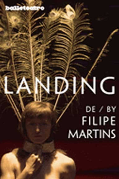 Landing poster