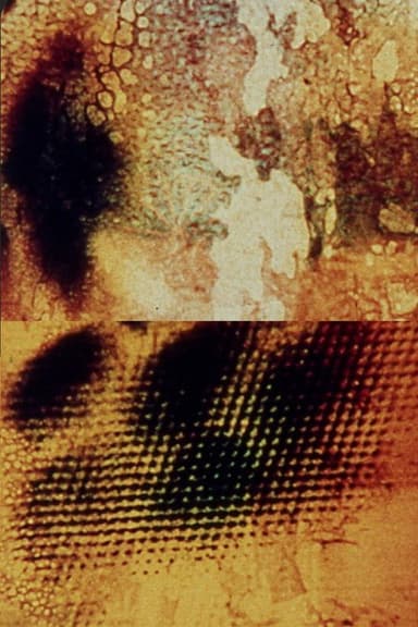 Aftermath poster