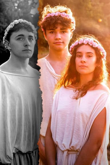 La Promesse des Androgynes poster
