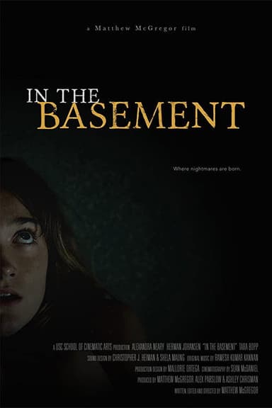 In the Basement poster