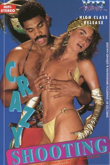 Crazy Shooting poster