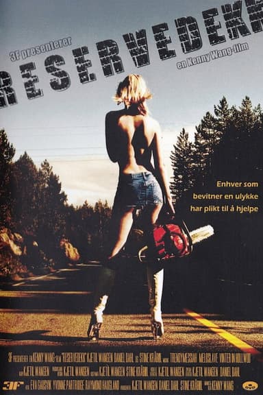 Spare Tyre poster